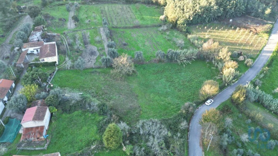 Terreno para Venda em Semide e Rio Vide Foto 12