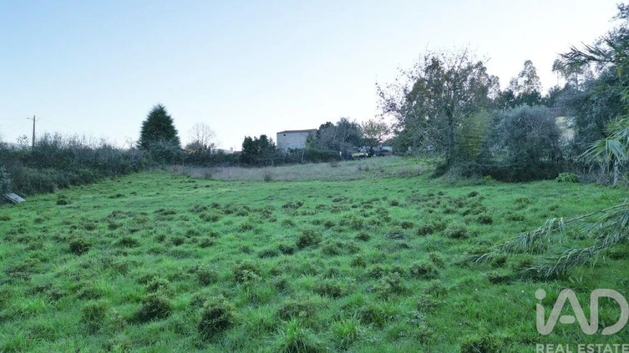 Terreno para Venda em Semide e Rio Vide Foto 19