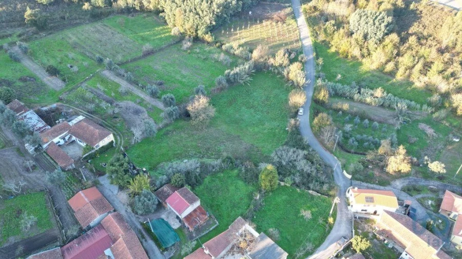 Terreno para Venda em Semide e Rio Vide Foto 7