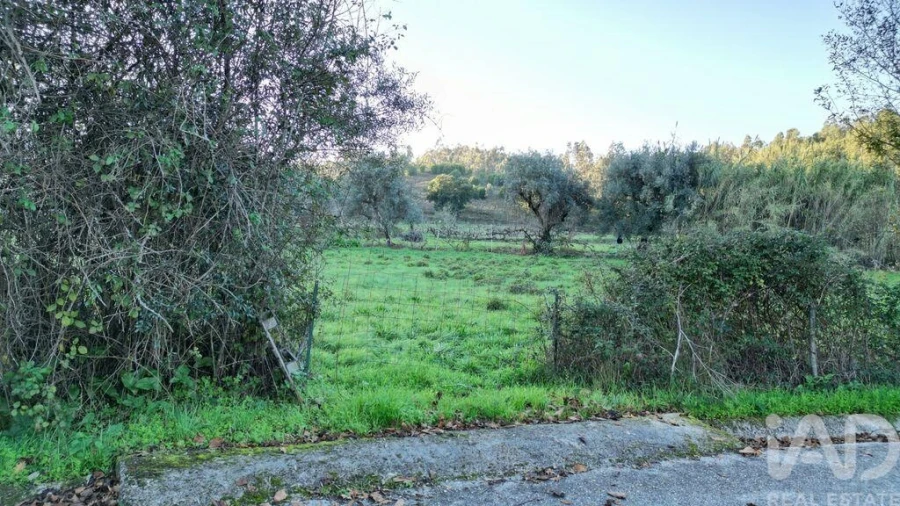 Terreno para Venda em Semide e Rio Vide Foto 15