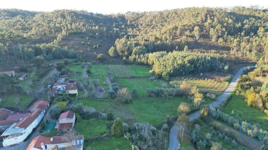 Terreno para Venda em Semide e Rio Vide Foto 11