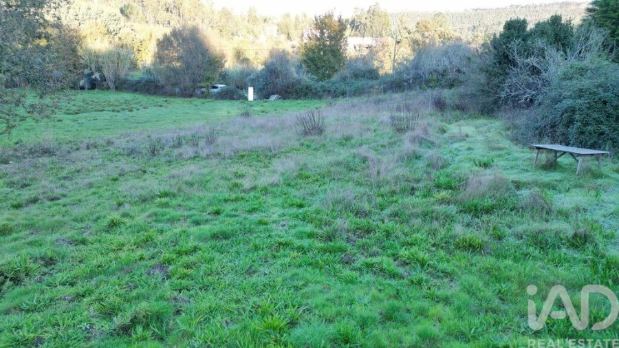 Terreno para Venda em Semide e Rio Vide Foto 21