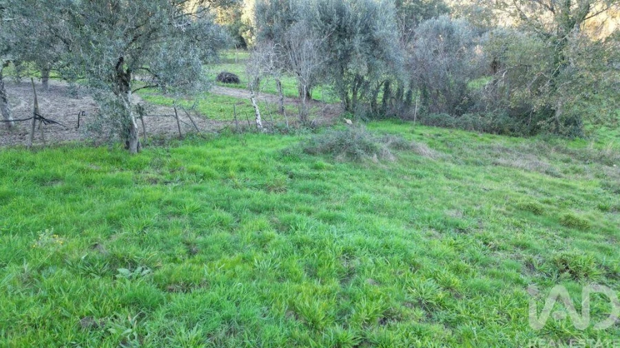 Terreno para Venda em Semide e Rio Vide Foto 22
