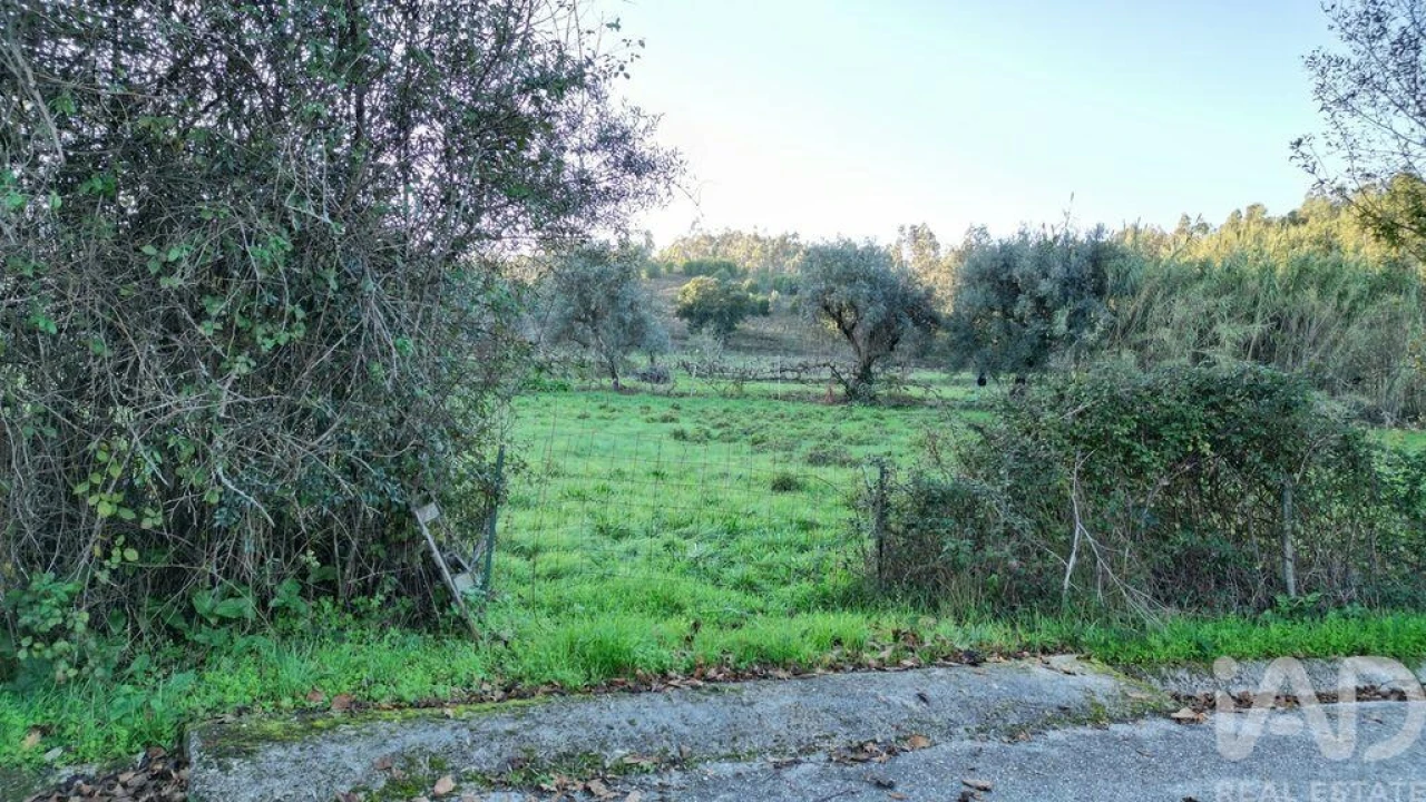 Terreno para Venda em Semide e Rio Vide Foto 15
