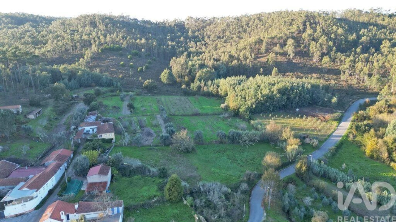 Terreno para Venda em Semide e Rio Vide Foto 11