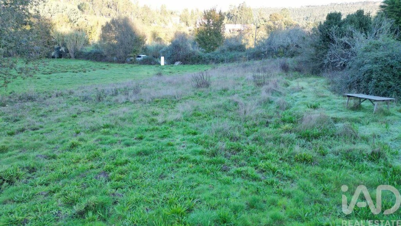 Terreno para Venda em Semide e Rio Vide Foto 21