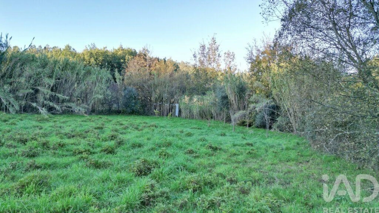 Terreno para Venda em Semide e Rio Vide Foto 18