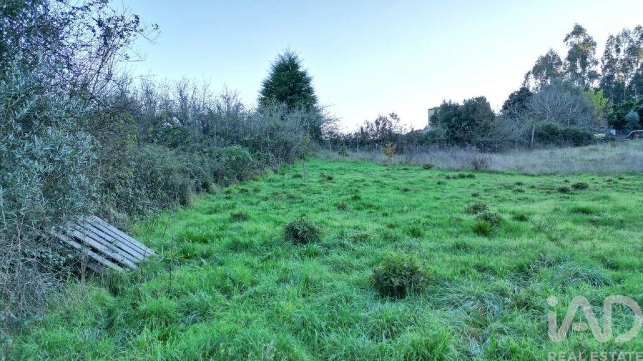 Terreno para Venda em Semide e Rio Vide Foto 17