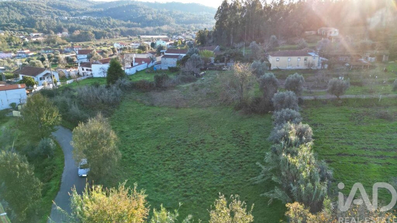 Terreno para Venda em Semide e Rio Vide Foto 3