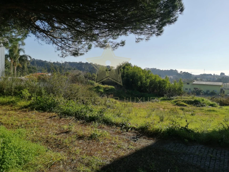 Terreno para Venda em Anta e Guetim Foto 15