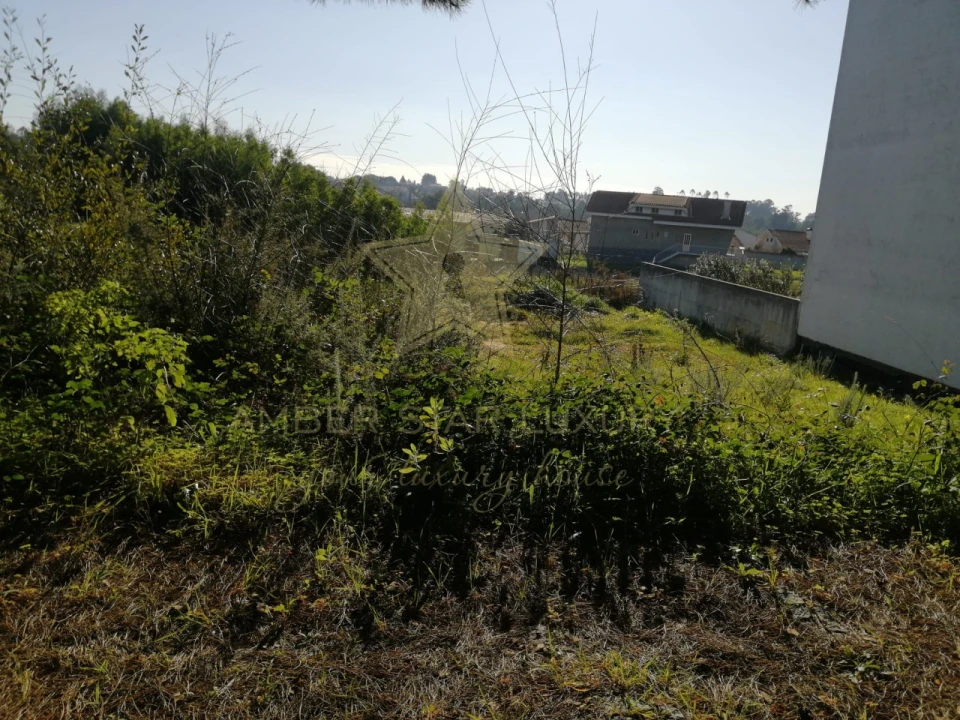 Terreno para Venda em Anta e Guetim Foto 13