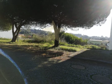 Terreno para Venda em Anta e Guetim