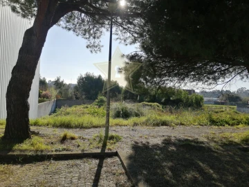 Terreno para Venda em Anta e Guetim