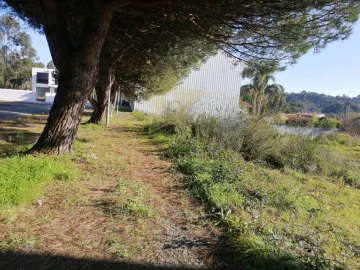 Terreno para Venda em Anta e Guetim