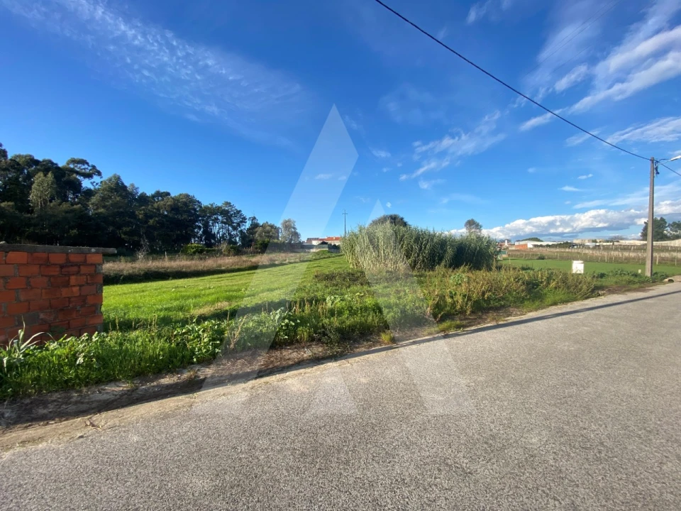 Terreno para Venda em Fermentelos Foto 2
