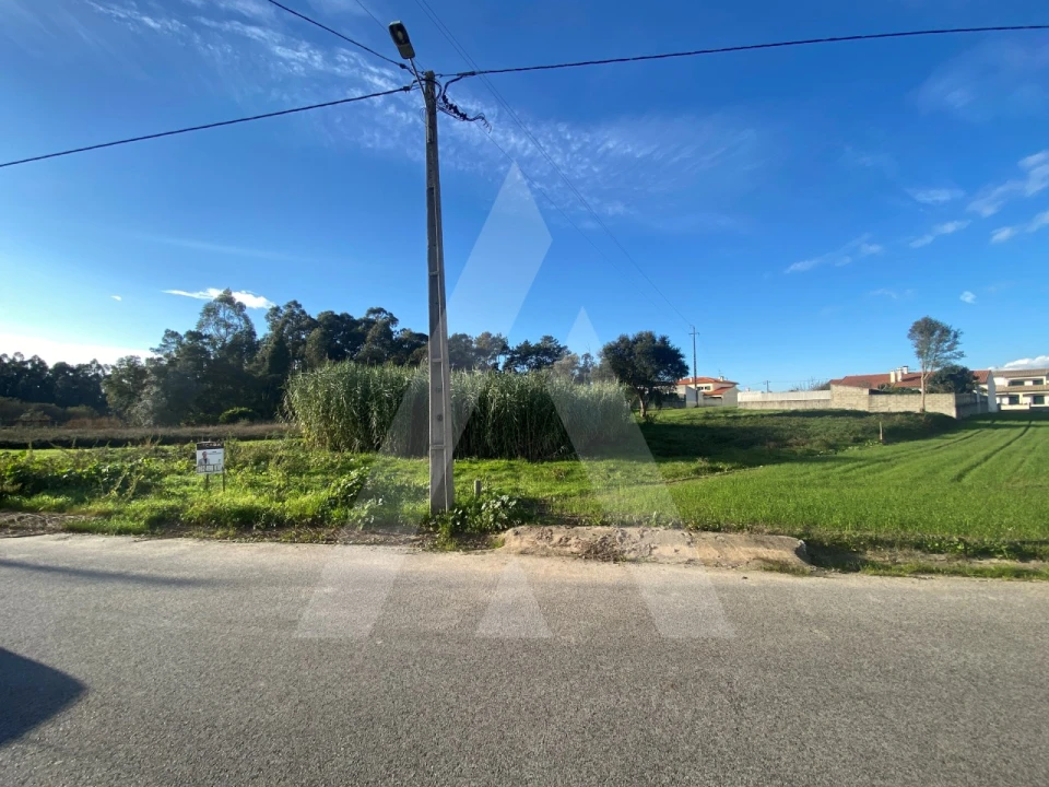 Terreno para Venda em Fermentelos Foto 6