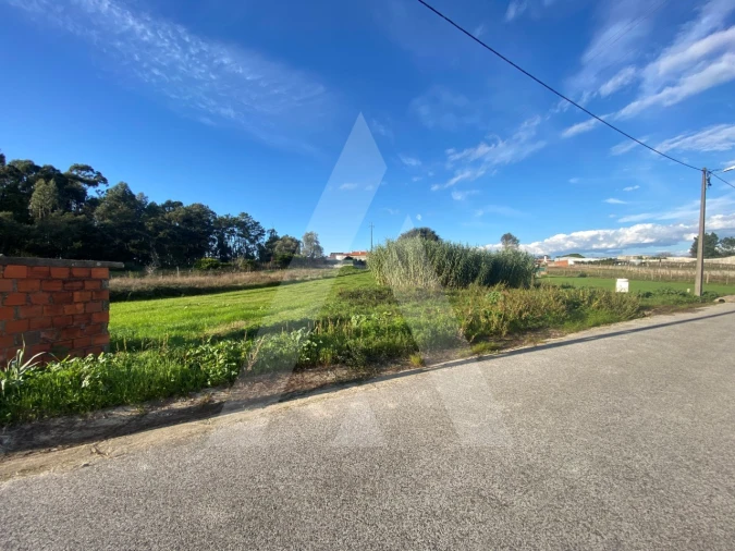 Terreno para Venda em Fermentelos