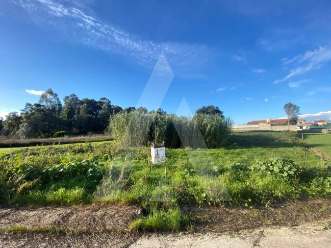 Terreno para Venda em Fermentelos Foto 3