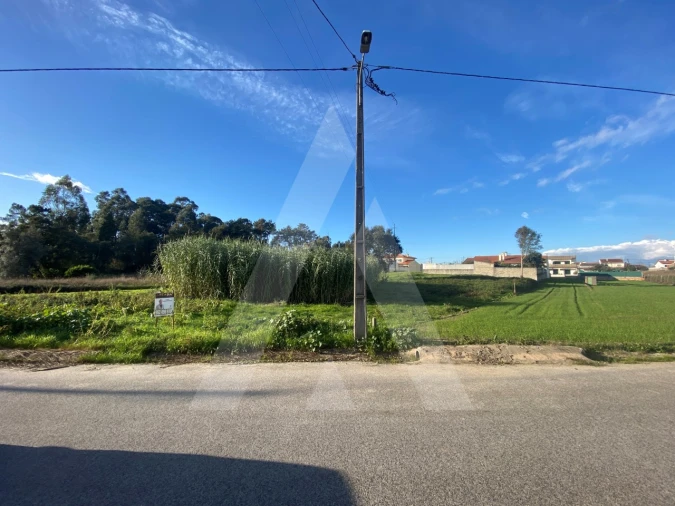 Terreno para Venda em Fermentelos Foto 4