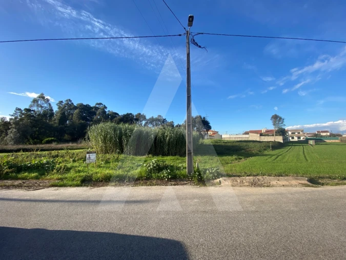 Terreno para Venda em Fermentelos Foto 5