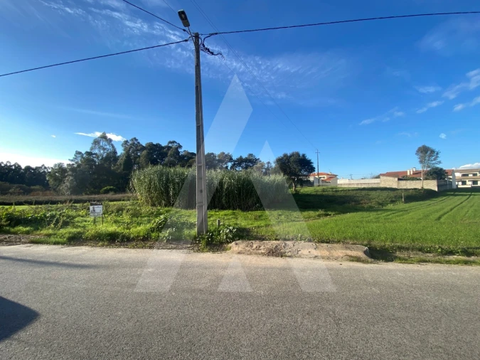 Terreno para Venda em Fermentelos Foto 6