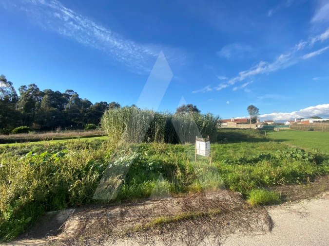Terreno para Venda em Fermentelos Foto 8