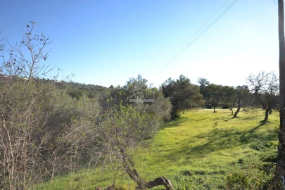 Terreno para Venda em Loule (São Sebastião)