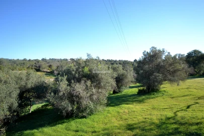 Terreno para Venda em Loule (São Sebastião)