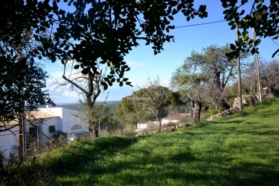 Terreno para Venda em Loule (São Sebastião)