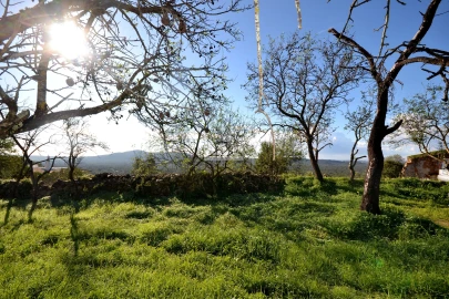 Terreno para Venda em Loule (São Sebastião)