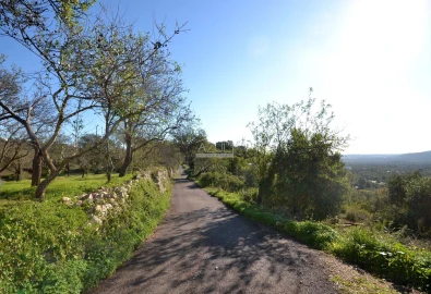 Terreno para Venda em Loule (São Sebastião)