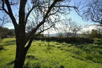 Terreno para Venda em Loule (São Sebastião)