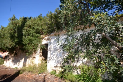 Terreno para Venda em Loule (São Sebastião)