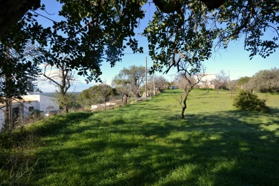 Terreno para Venda em Loule (São Sebastião)