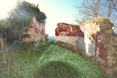 Terreno para Venda em Loule (São Sebastião)
