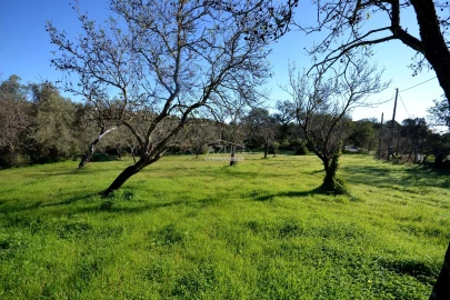 Terreno para Venda em Loule (São Sebastião)