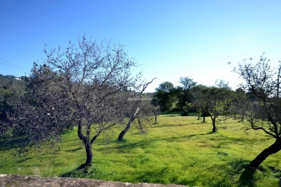 Terreno para Venda em Loule (São Sebastião)