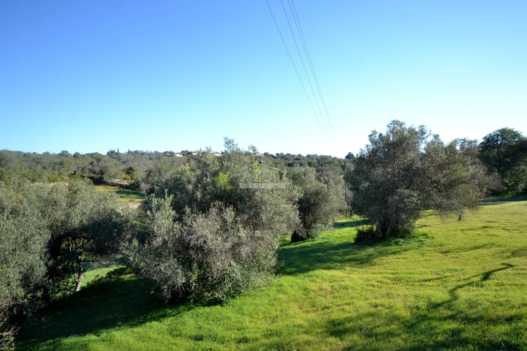Terreno para Venda em Loule (São Sebastião) Foto 21
