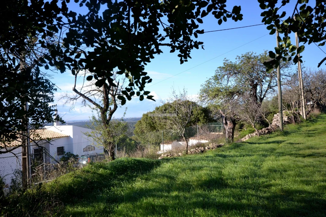 Terreno para Venda em Loule (São Sebastião) Foto 10