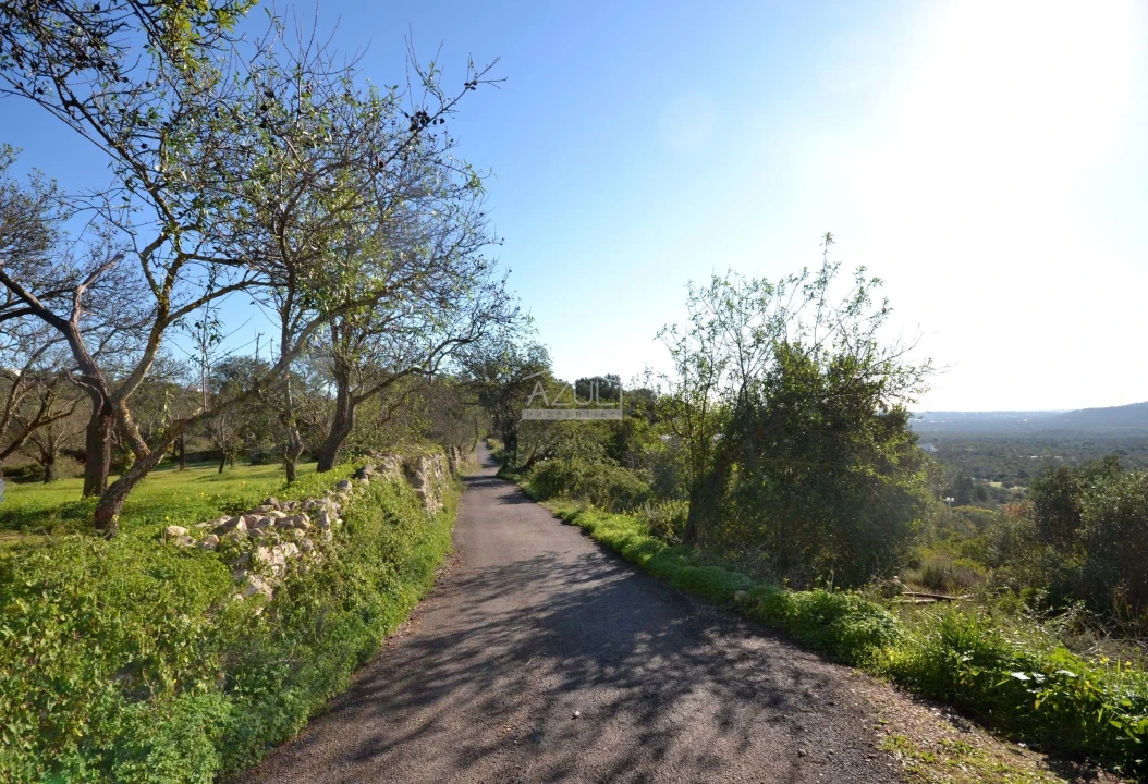 Terreno para Venda em Loule (São Sebastião) Foto 20