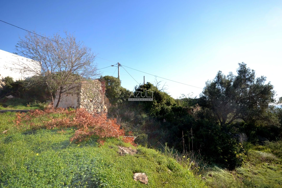 Terreno para Venda em Loule (São Sebastião) Foto 5