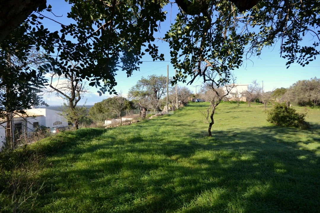 Terreno para Venda em Loule (São Sebastião) Foto 9
