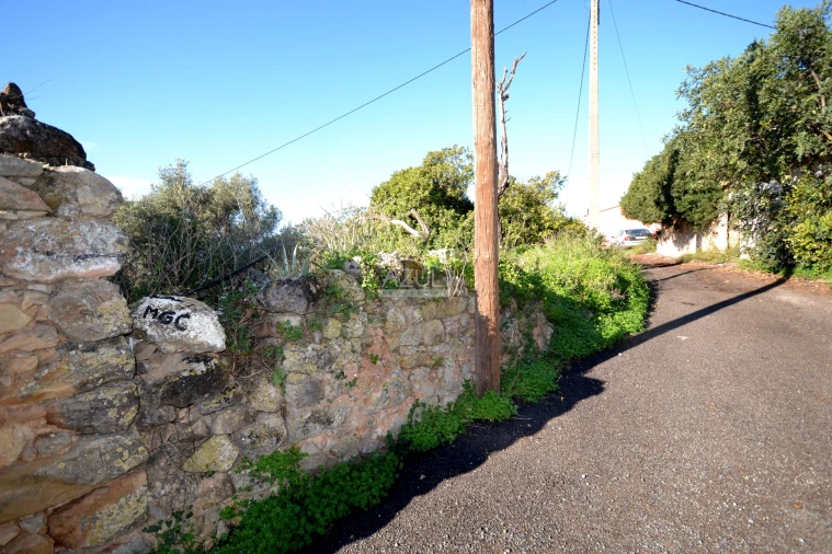 Terreno para Venda em Loule (São Sebastião) Foto 12
