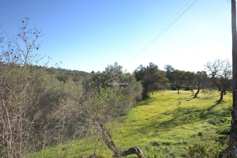 Terreno para Venda em Loule (São Sebastião) Foto 22