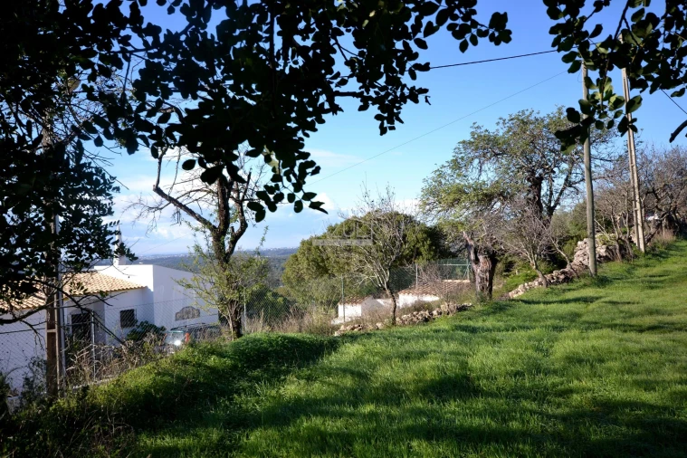 Terreno para Venda em Loule (São Sebastião) Foto 10