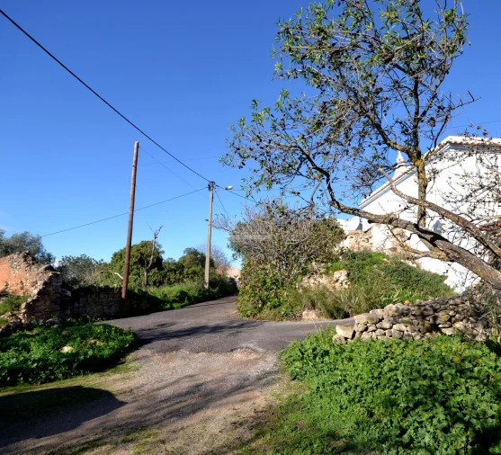 Terreno para Venda em Loule (São Sebastião) Foto 7