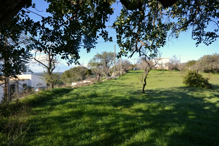 Terreno para Venda em Loule (São Sebastião) Foto 9