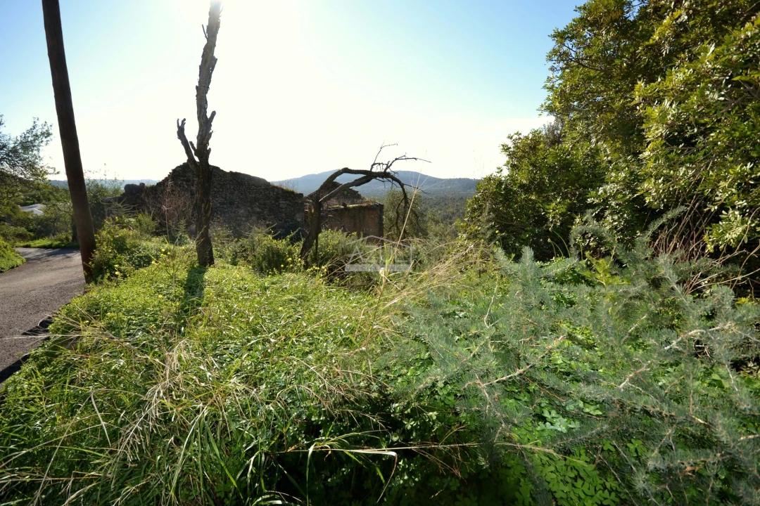 Terreno para Venda em Loule (São Sebastião) Foto 18