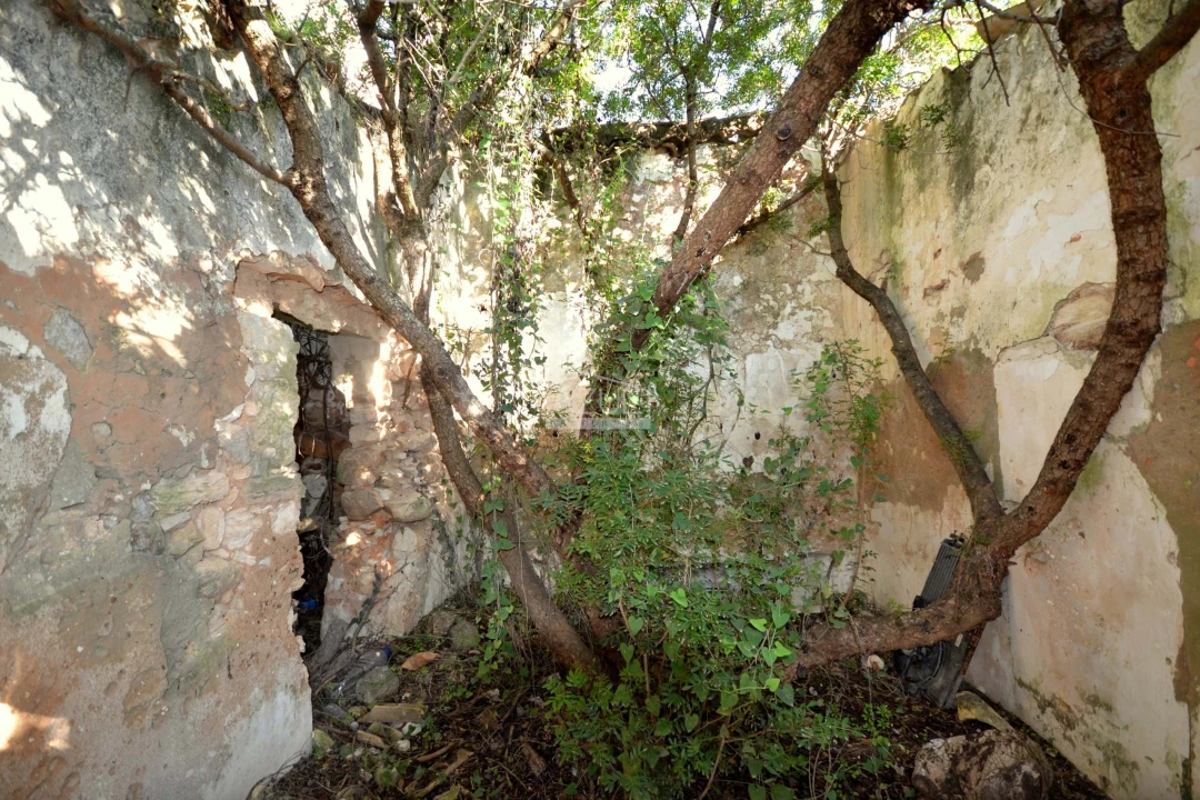 Terreno para Venda em Loule (São Sebastião) Foto 13