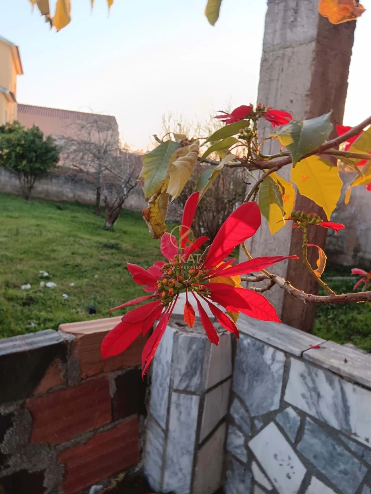 Moradia T4 para Venda em Miragaia e Marteleira Foto 21